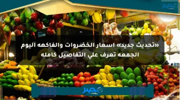 «تحديث جديد» أسعار الخضروات والفاكهة اليوم الجمعة تعرف على التفاصيل كاملة